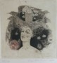 8101512-b-eva-harshout