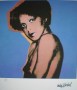 8200067-corice-arman-type-b